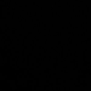 Meet your Posher, Kenny